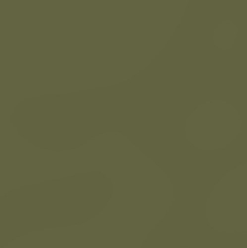 ЛДСП Swiss Krono 2508 VL Оливковий, 2800х2070х18