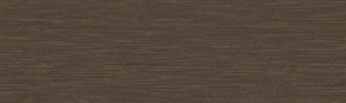 Крайка ABS Hranipex 22/0,8 Інокс бронза HD 29029 (Н204)